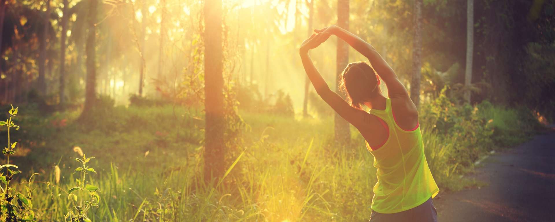 Back view of a woman stretching in sunlight in the woods » HCi