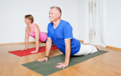 HCi Year in Review 2024-25